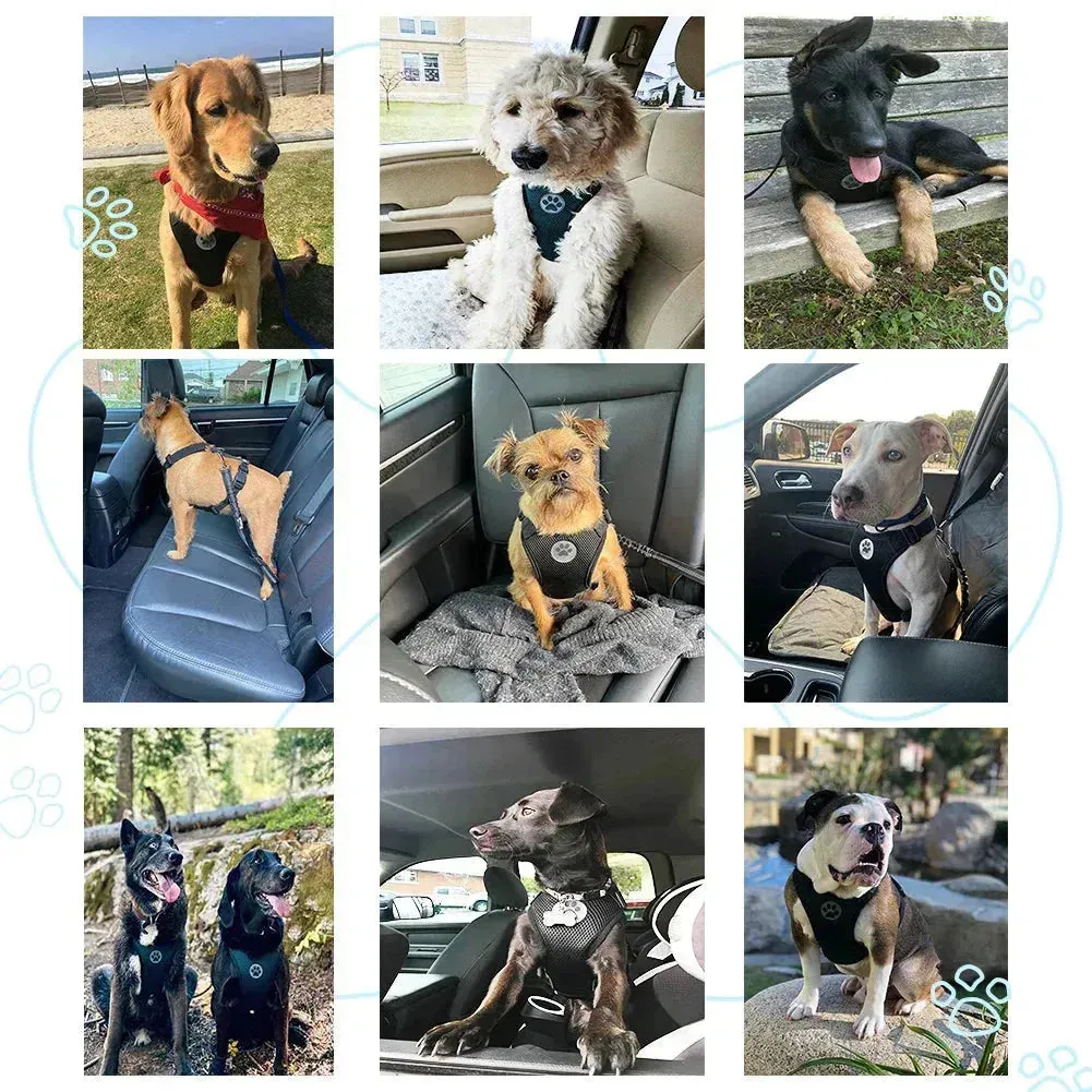 Adjustable Dog Seatbelt Harness with Breathable Mesh Vest