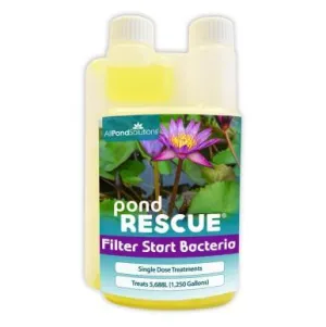 AllPondSolutions Filter Start Bacteria Treatment 250ml