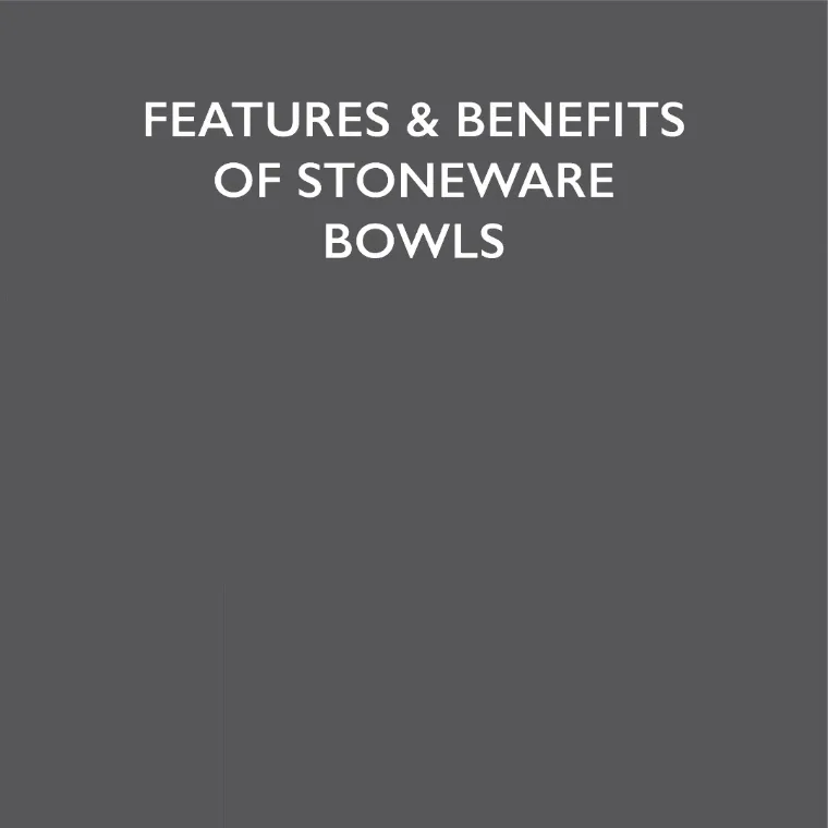 Aztec 2 Piece Dog Food & Water Bowl Set - Terracotta Orange