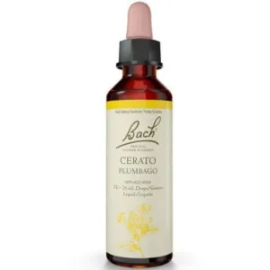 Bach Cerato 20mL Drops Liquid