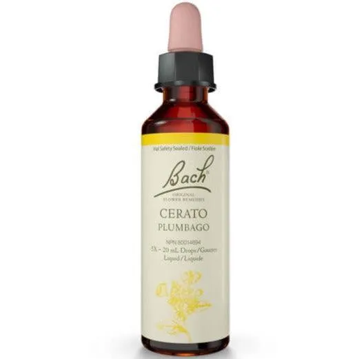 Bach Cerato 20mL Drops Liquid