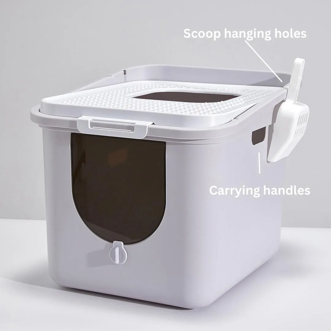 Best Top Entry Litter Box - Clean & Stylish Solution for Your Cat | PetBesty