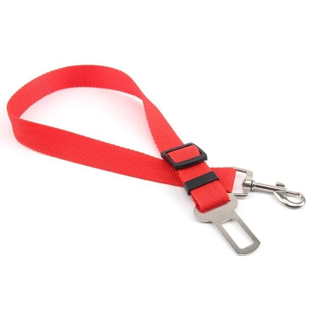 Car Seatbelt