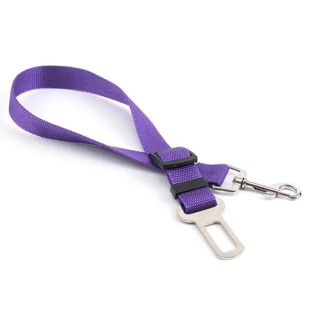 Car Seatbelt