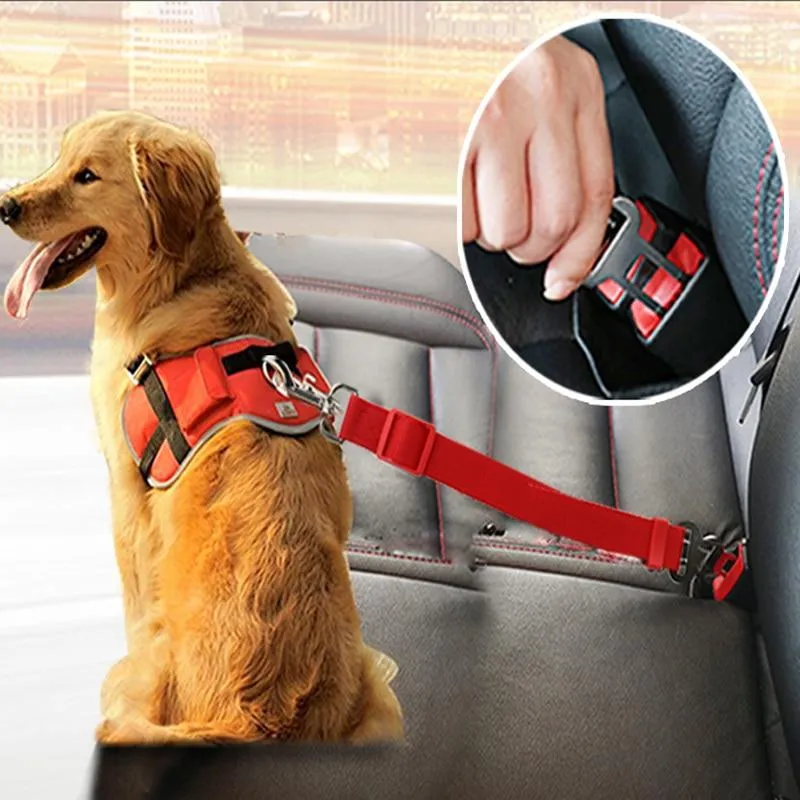 Car Seatbelt