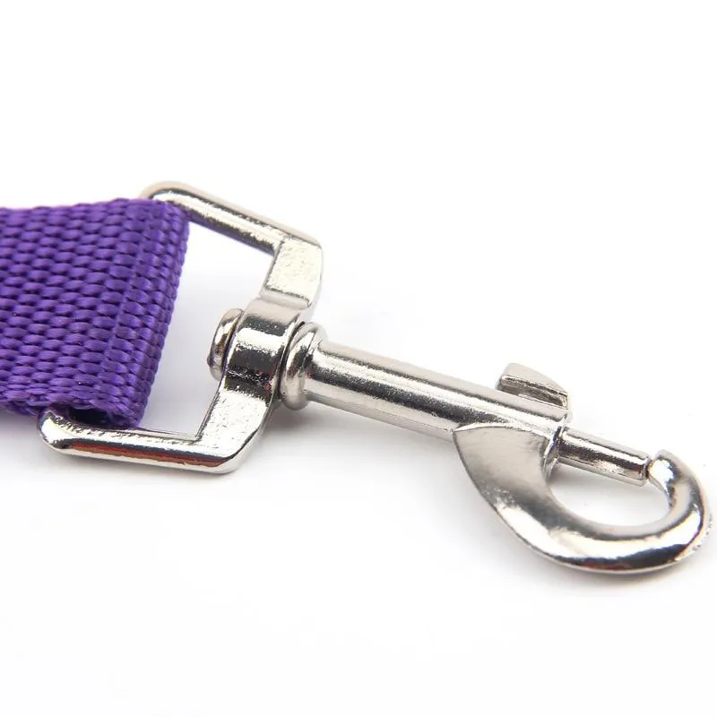Car Seatbelt