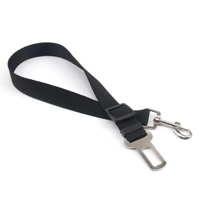 Car Seatbelt