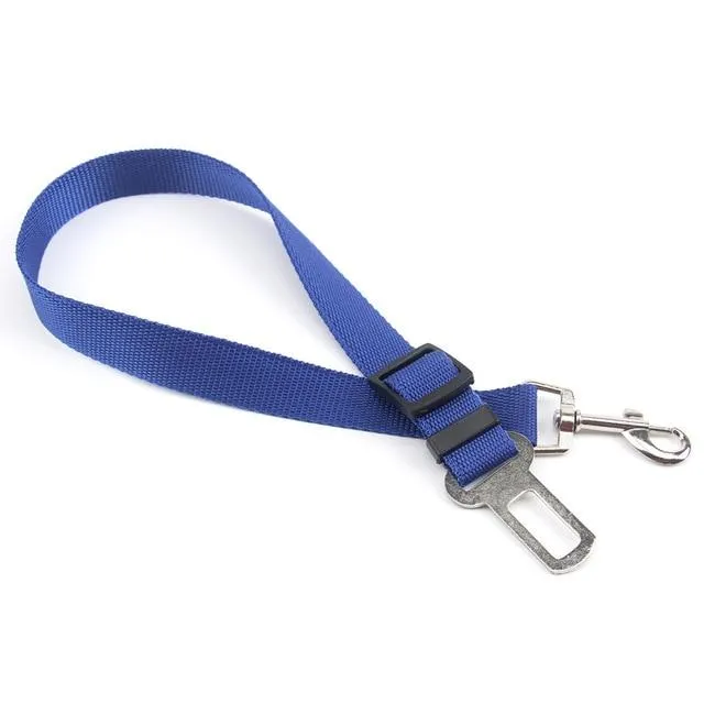 Car Seatbelt
