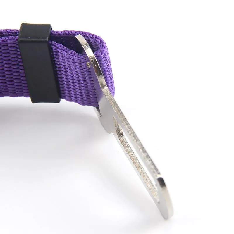 Car Seatbelt