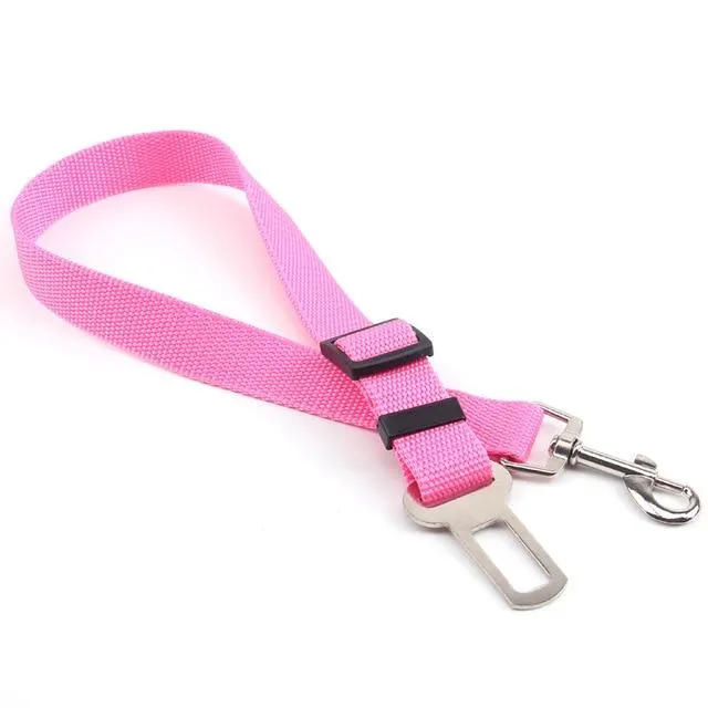 Car Seatbelt