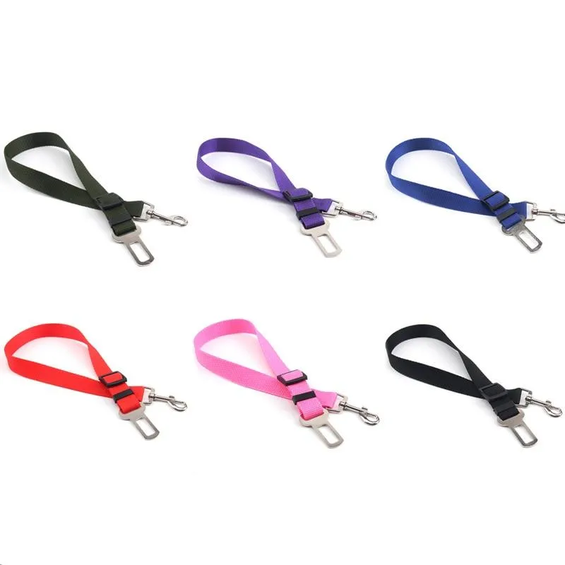 Car Seatbelt