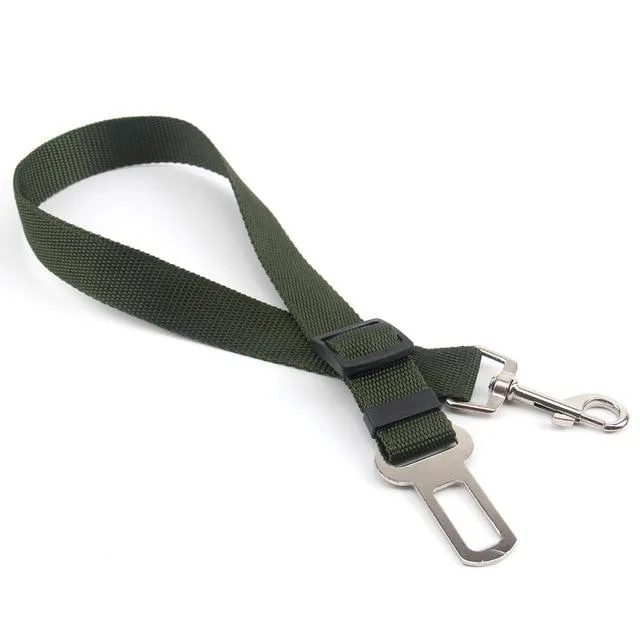 Car Seatbelt