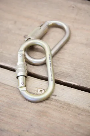 DMM - 10mm Steel Oval