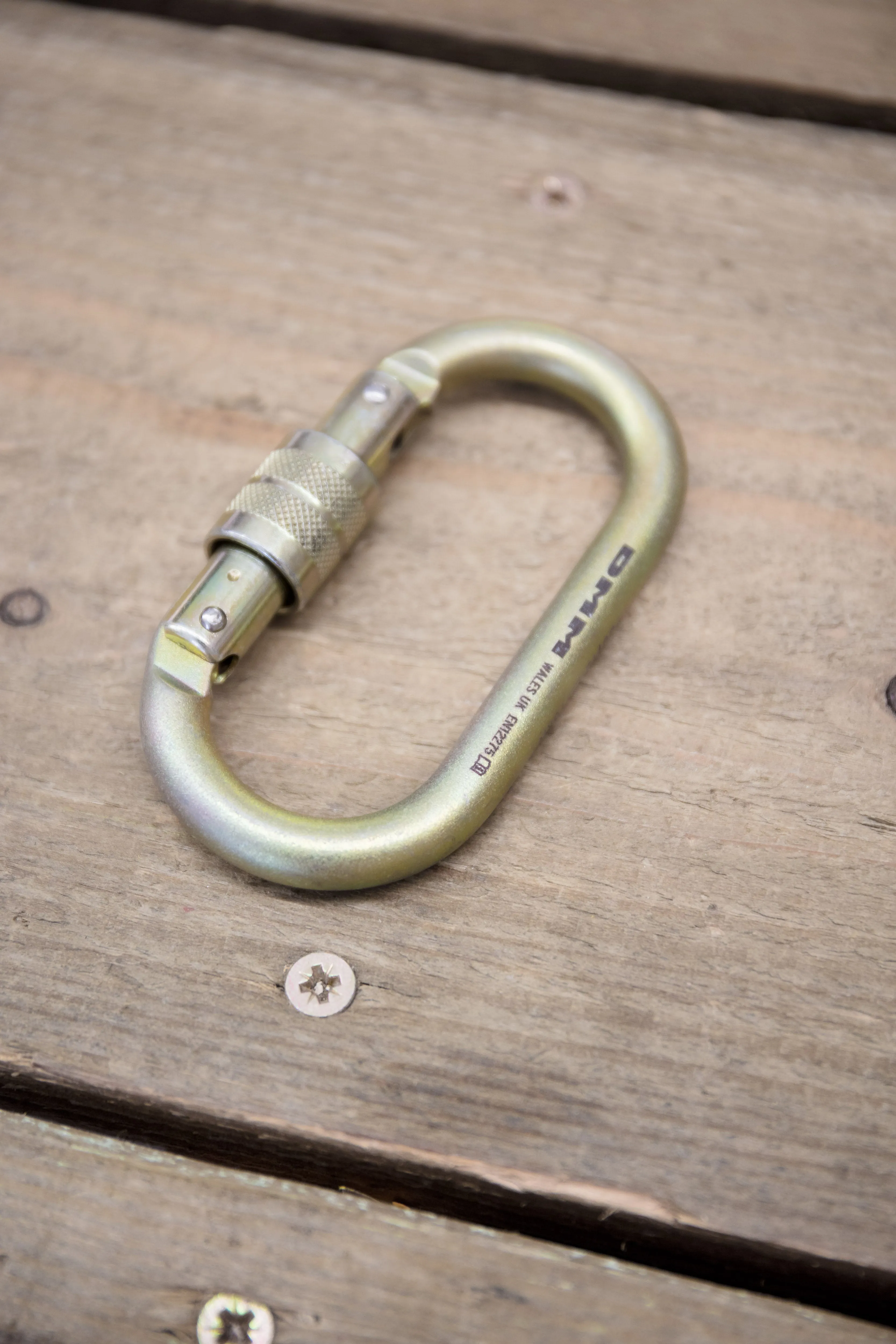 DMM - 10mm Steel Oval