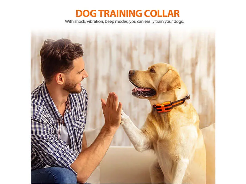 Dog Training Collar Rechargeable