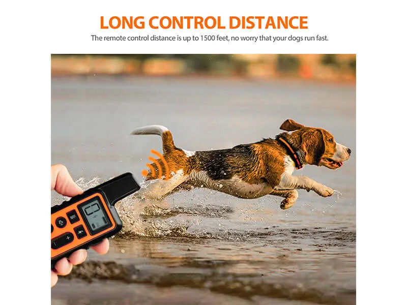 Dog Training Collar Rechargeable