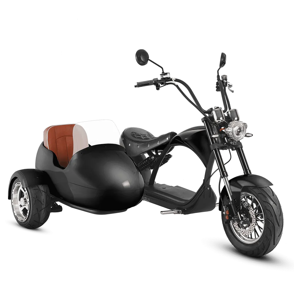 Eahora M1P   Sidecar - Black