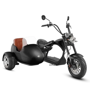 Eahora M1P   Sidecar - Black