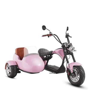 Eahora M1P   Sidecar - Pink