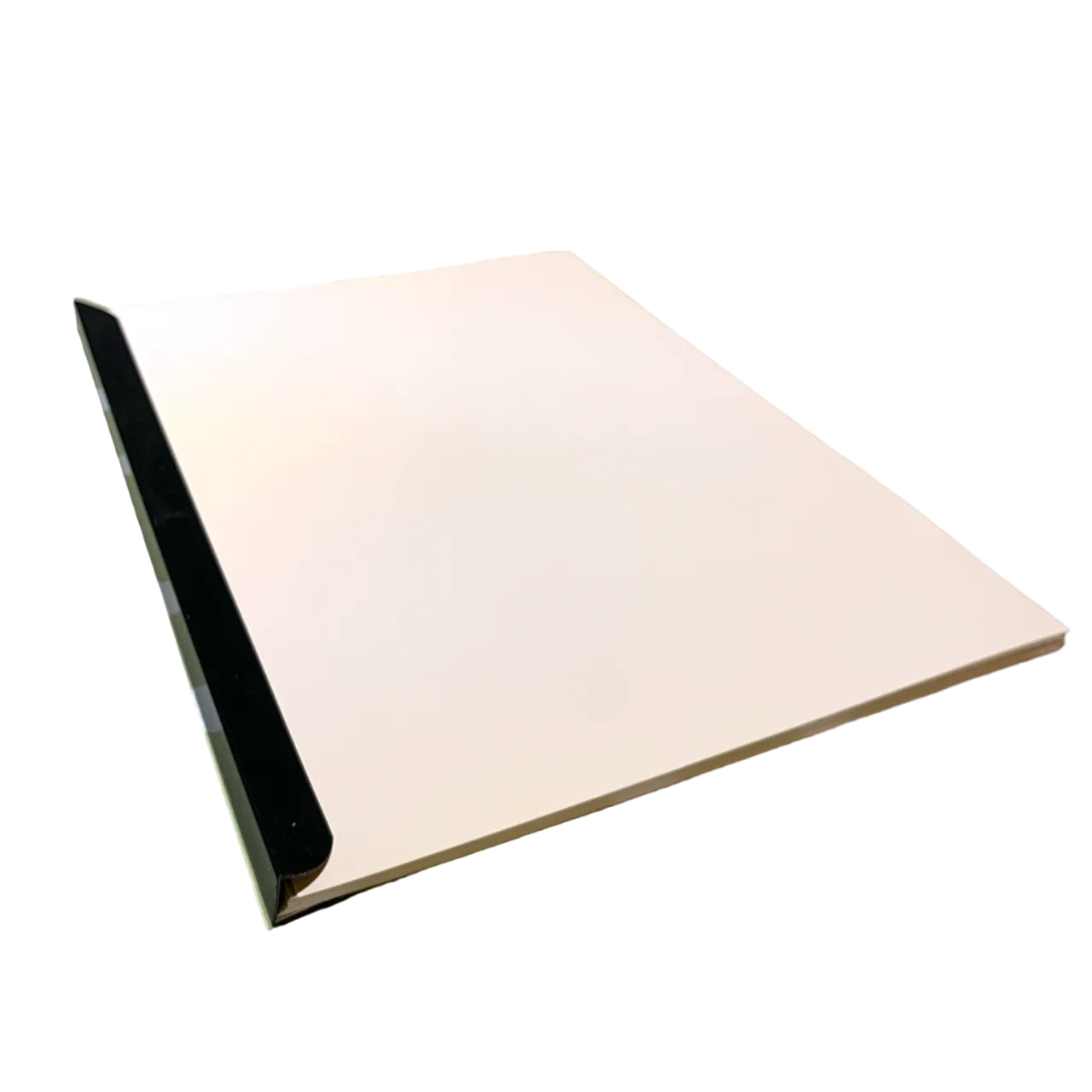 Leitz A4 12mm Black Slide Binders Flat-Back (25)