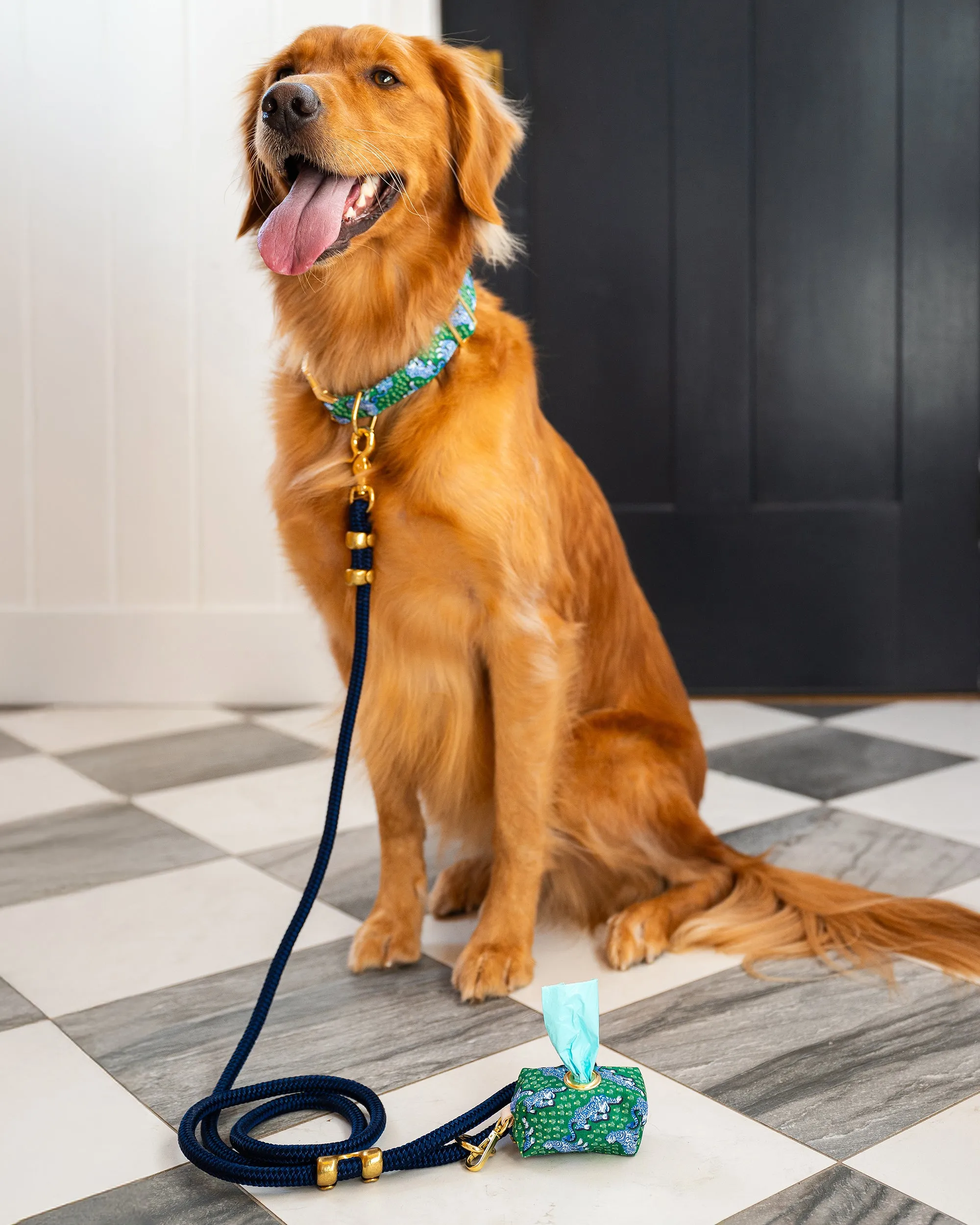 PF x The Foggy Dog Tiger Queen - Waste Bag Dispenser - Jade