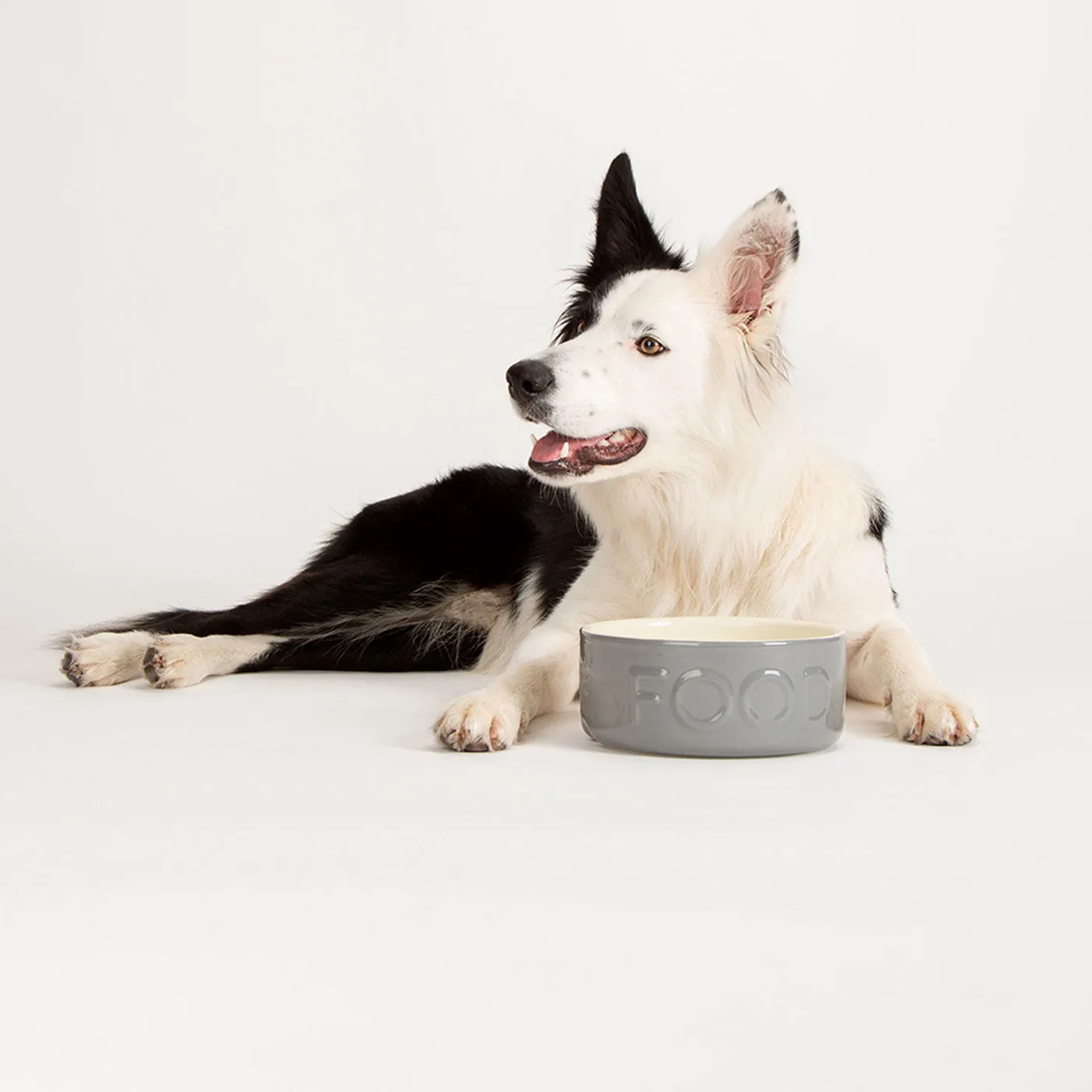 Scruffs Classic Food Bowl