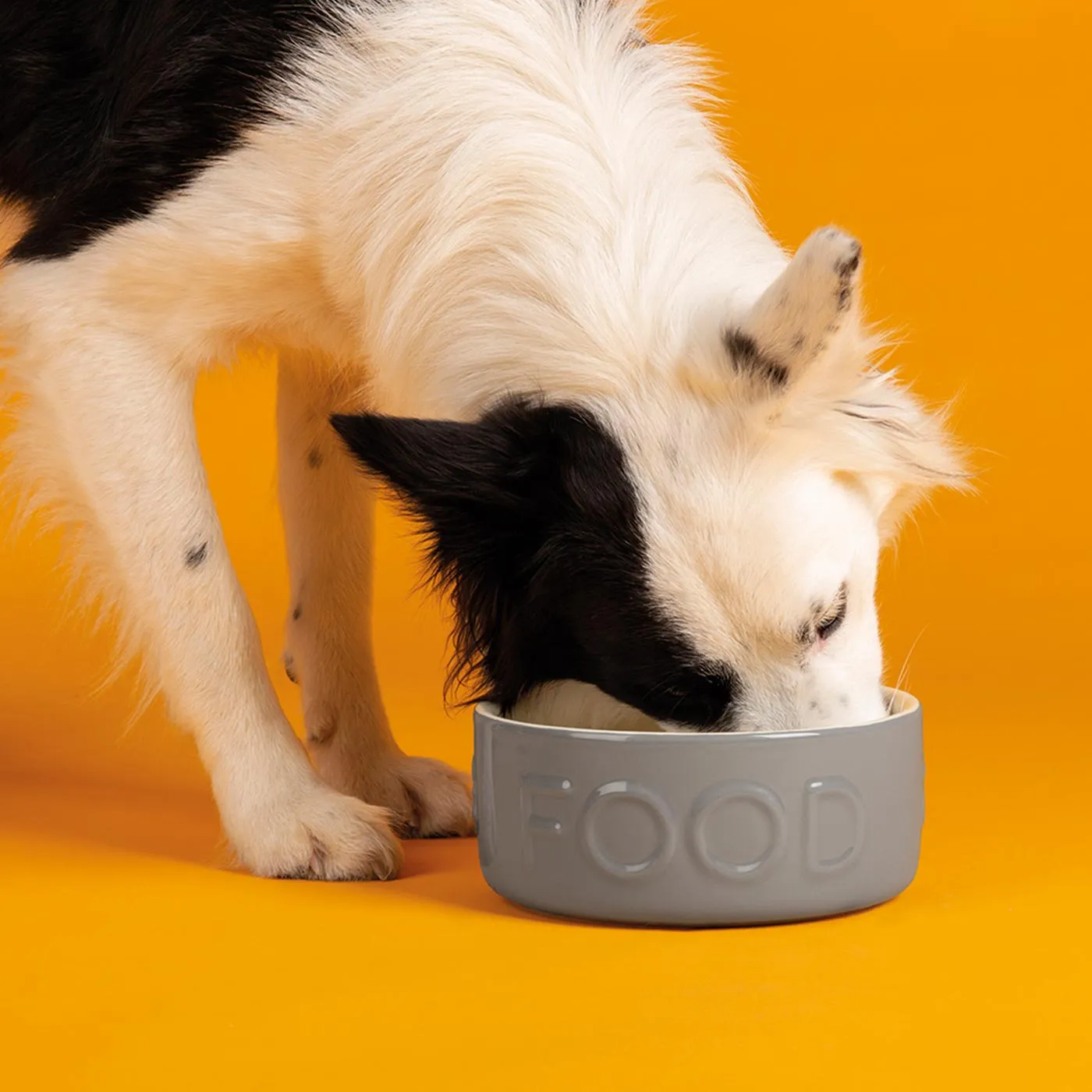 Scruffs Classic Food Bowl