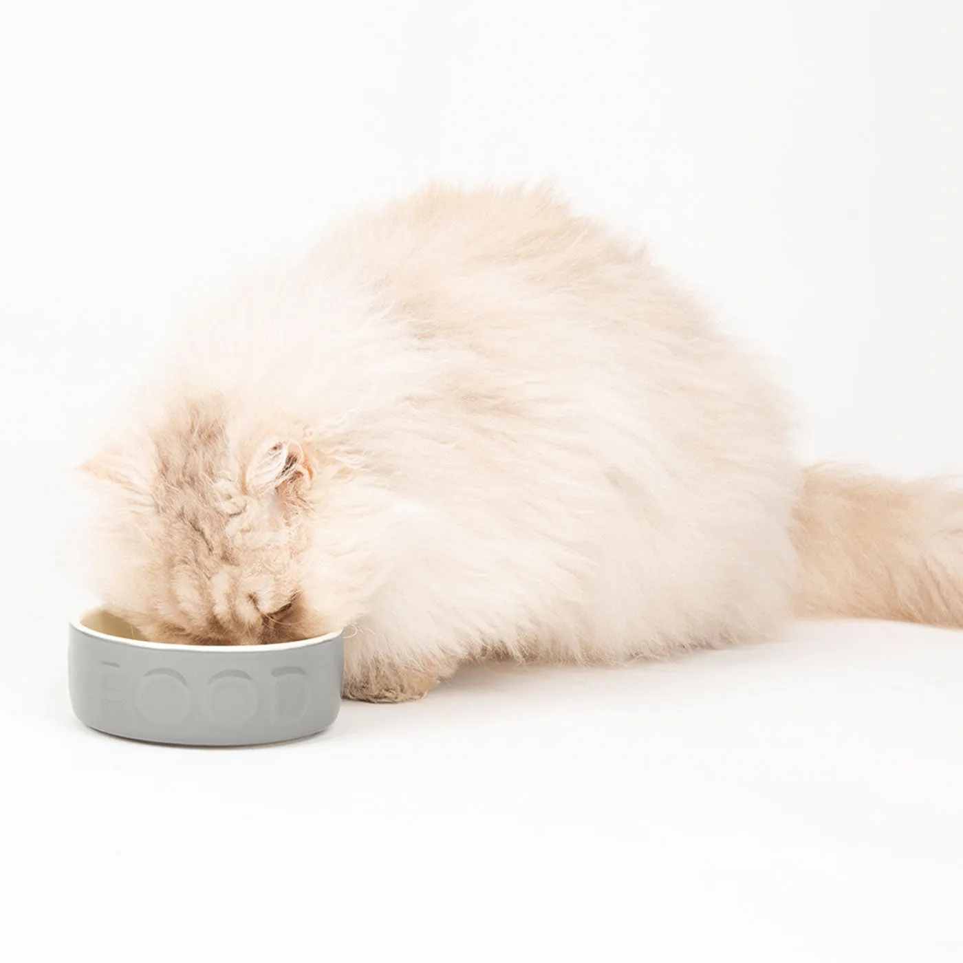 Scruffs Classic Food Bowl
