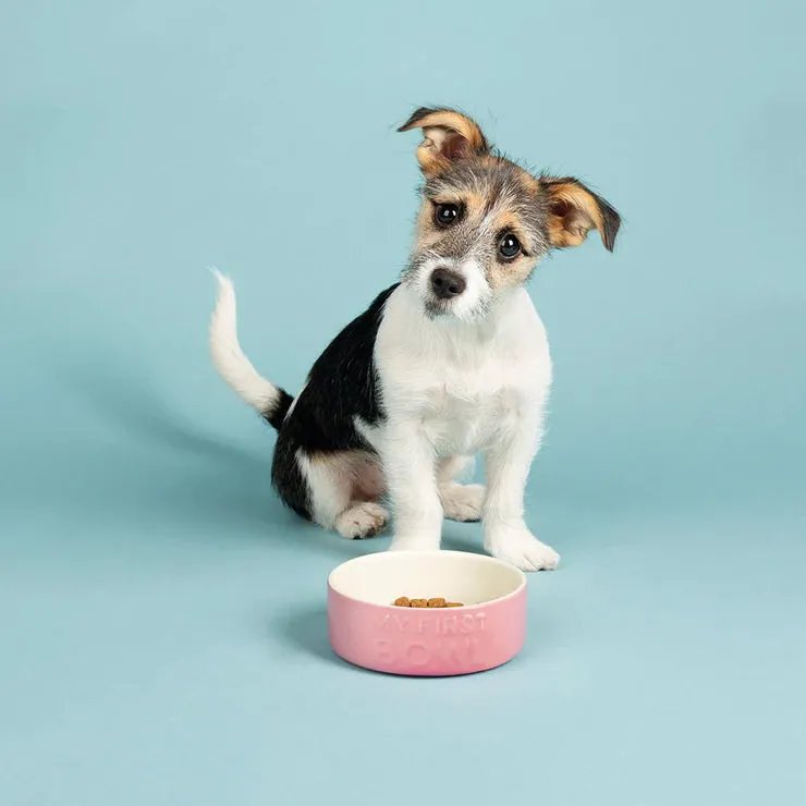 Scruffs My First Pet Bowl for Puppies