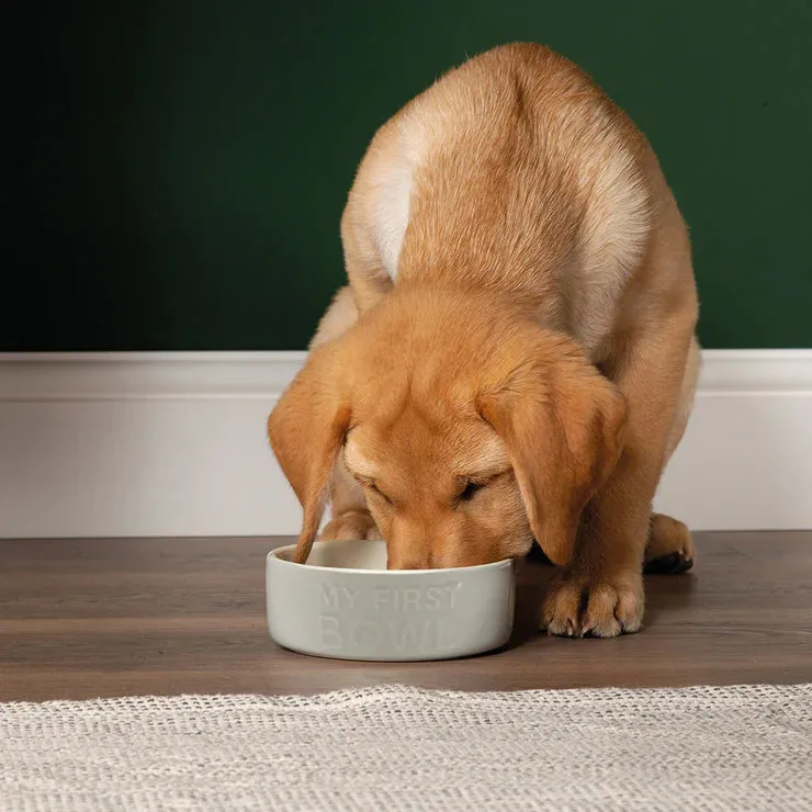 Scruffs My First Pet Bowl for Puppies