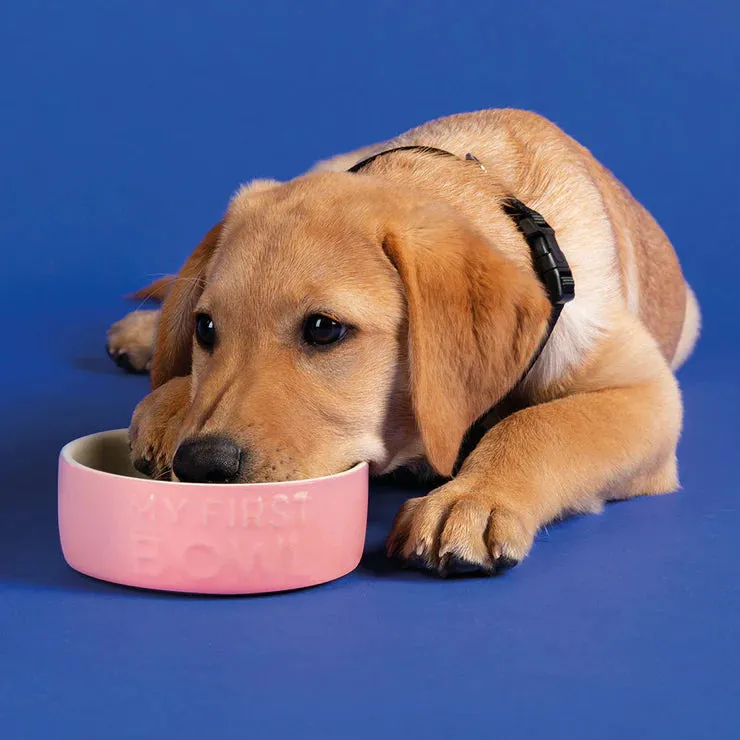 Scruffs My First Pet Bowl for Puppies