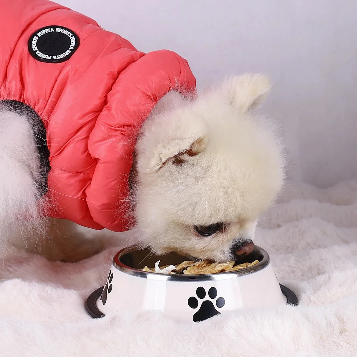 Stainless Steel Pet Bowls with Non-Slip Base – Multiple Sizes