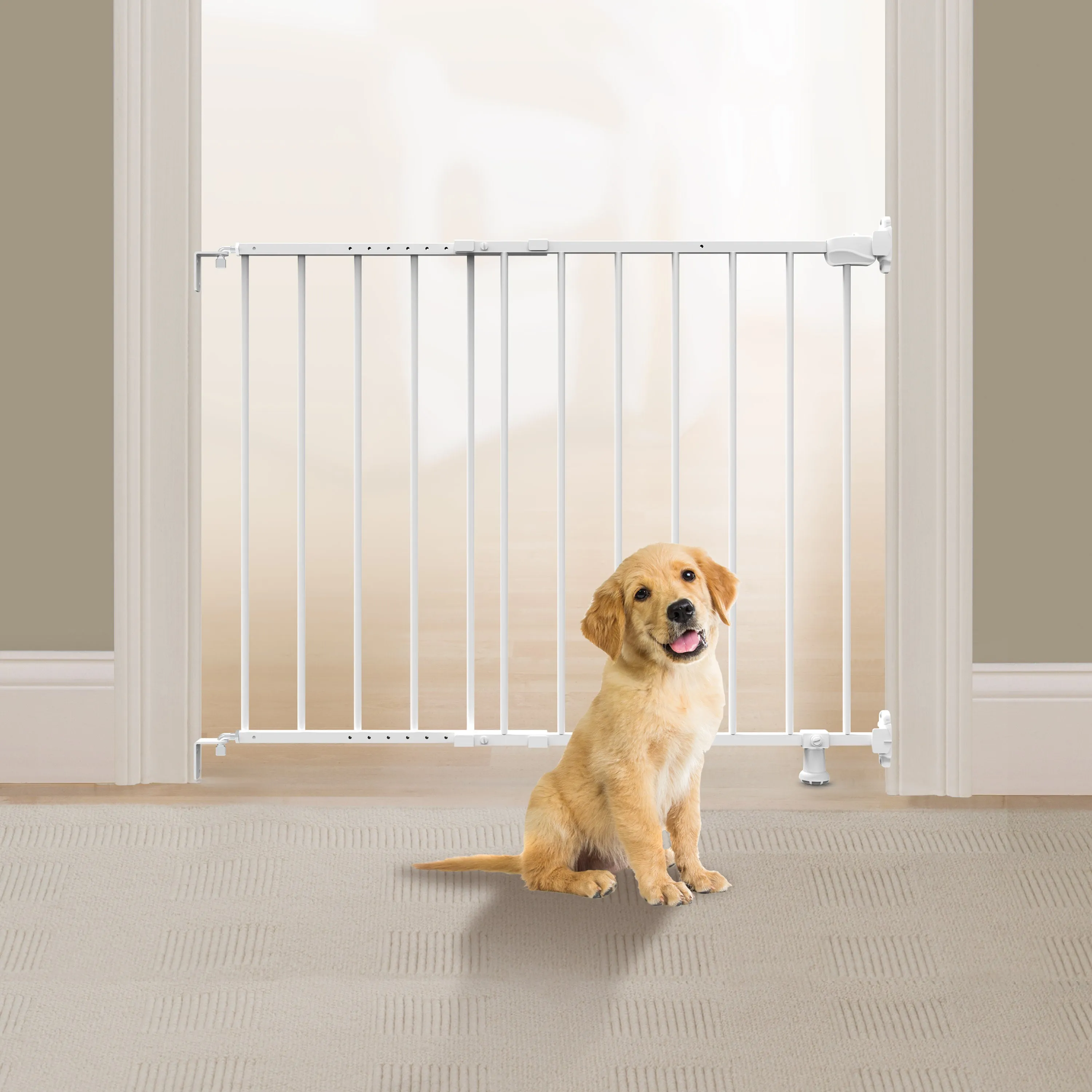 The Stairway 42W Series Safety Pet and Baby Gate, Openings from 28"-42" Wide - White